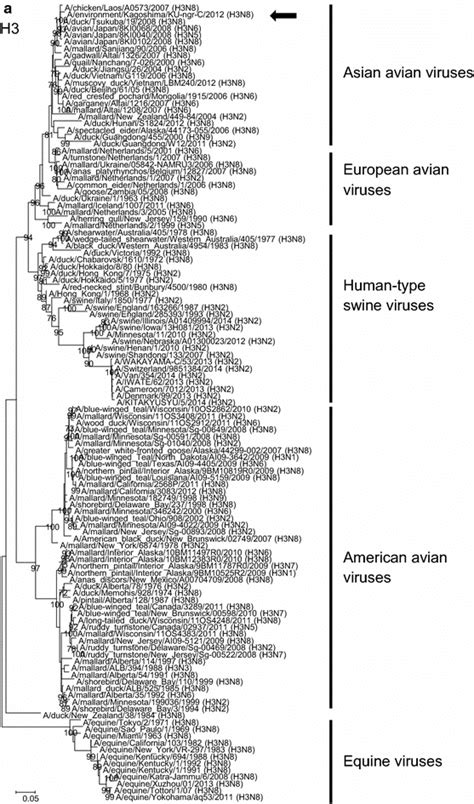 Phylogenetic Trees Of The Ha Gene A Phylogenetic Tree Of The Ha Gene