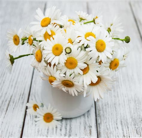 Premium Photo | Daisies in vase