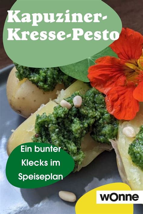 Rezept Kapuzinerkresse Pesto Rezept Pesto Selber Machen