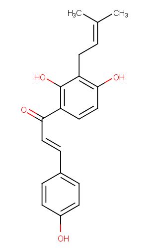 Isobavachalcone Others Apoptosis Reactive Oxygen Species Akt