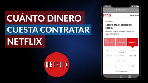 Resumen De Art Culos Como Contratar Netflix Actualizado