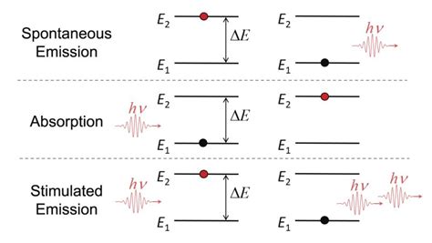 Light Matter Interactions In Lasers