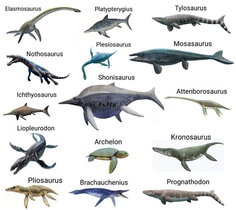 Water Dinosaurs Names