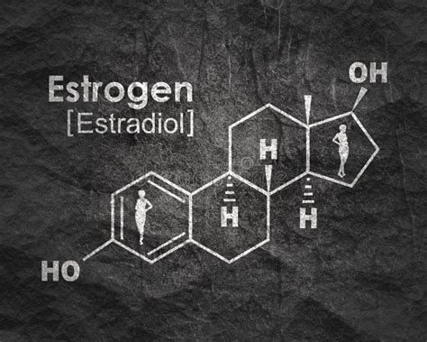 Hormone Estrogen Estradiol Oestradiol Structural Chemical Formula And