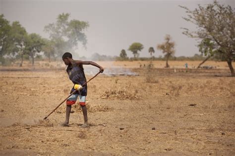 The Effects of Desertification in Africa - The Borgen Project