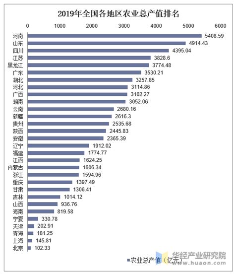 2019年全国农业总产值及各地区排行统计分析华经情报网华经产业研究院