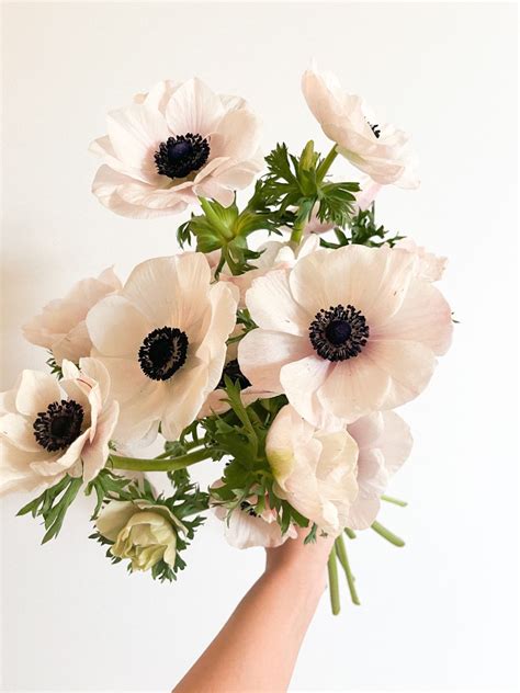 Fresh Anemone Blooms | Flower arrangements, Flower farm, Pretty flowers