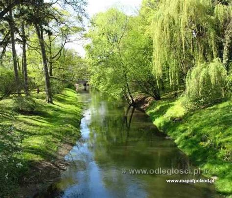 Park Żelazowa Wola Zdjęcie 2037