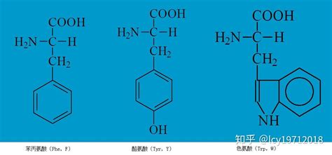 基本氨基酸的一些基本知识：结构、特点与记忆方法（六） 知乎