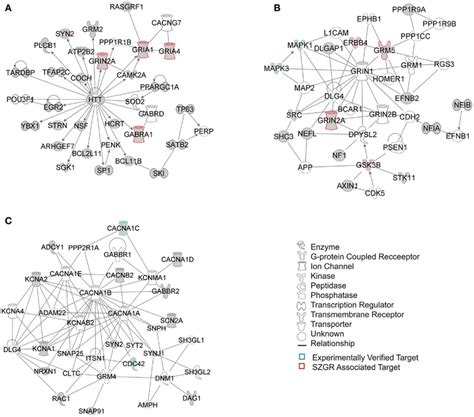 Top 3 Scoring Ipa Network Analysis Generated Networks For 202 Nervous Download Scientific