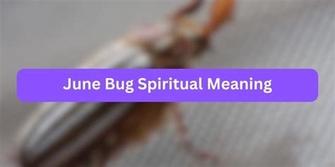 June Bug Spiritual Meaning (Inner Symbolisms)