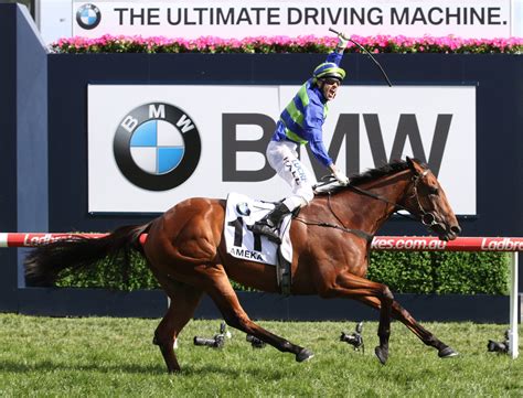 High hopes for Caulfield Cup winners little brother | Sports News Australia