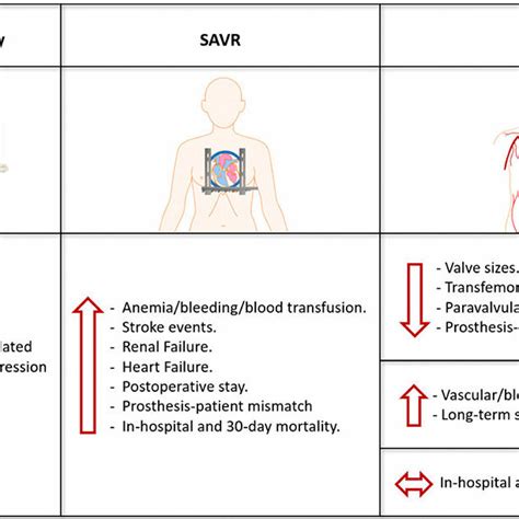 Treatment Options In Severe Aortic Stenosis And Women Specific