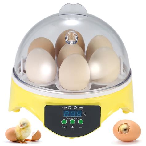 Buy VITION7 Eggs Mini Digital Egg Incubator Hatcher Transparent Eggs