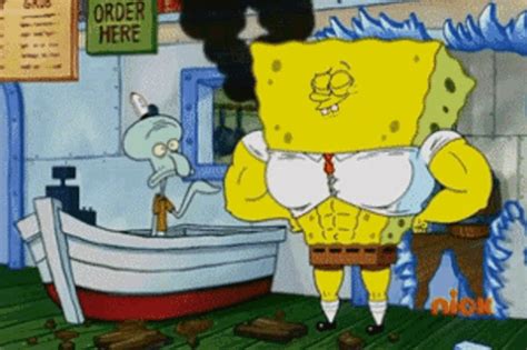 Spongebob Squidward  Spongebob Squidward Squidbob Discover And Share S