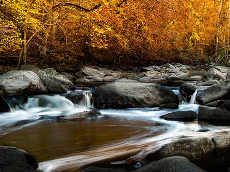 Washington, DC parks with green spaces to picnic, relax and get sun