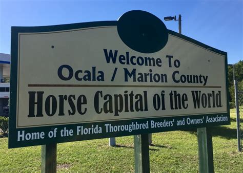 Ocala The Horse Capital Of The World Espn 981 Fm 850 Am Wruf