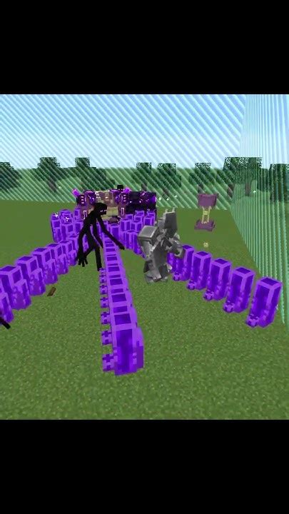 End Mobs Team Vs Overworld Mobs Team Minecraft Mob Battle Youtube