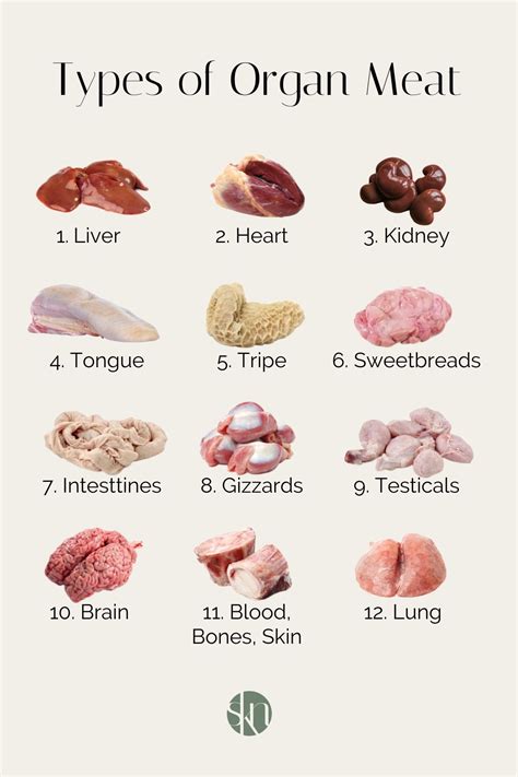 Organ Meats Beef Raw Ground Organs For Dogs & Cats | Oma's Pride