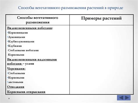 Бесполое размножение - презентация онлайн