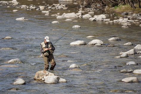 Free Images Wilderness River Wildlife Stream Rapid Human Rest