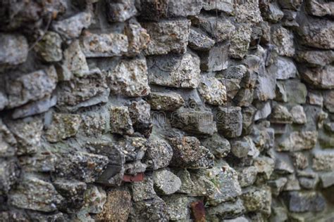 Muro De Pedra Cinzenta Foto De Stock Imagem De Textura