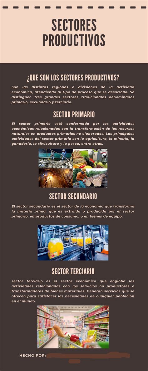 Sectores Productivos ¿que Son Los Sectores Productivos Son Las Distintas Regiones O