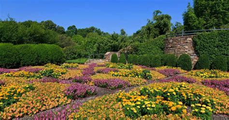 7 Must-Visit Botanical Gardens in Orlando in 2025: A Serene Escape