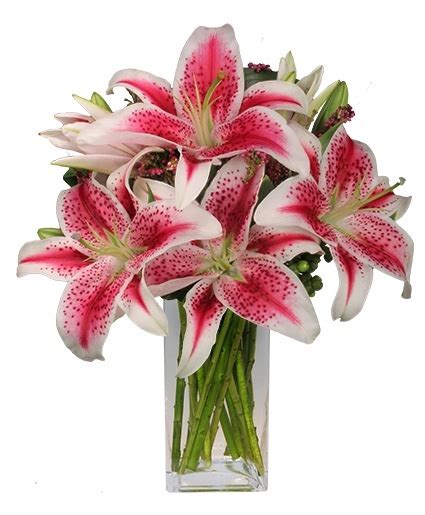 Luxurious Lilies Bouquet | Valentine's Day | Flower Shop Network