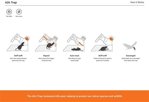 Goodnature Home Trapping Kit A24 Humane Mouse Trap And Rat Trap With