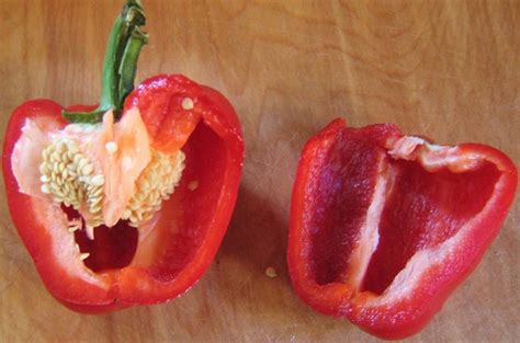 Перец мужской и женский на семена и как выбрать — Своими руками… Да!