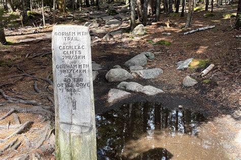 Self Guided Gps Audio Driving Tour Acadia Np From Hulls Cove Vc 2024