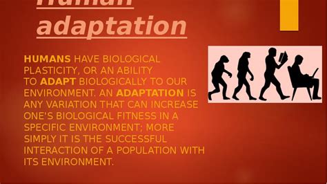 Adaptation