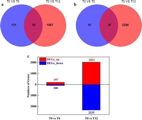 The Distribution Of Degs In Broccoli Hairy Roots Treated With Mt A