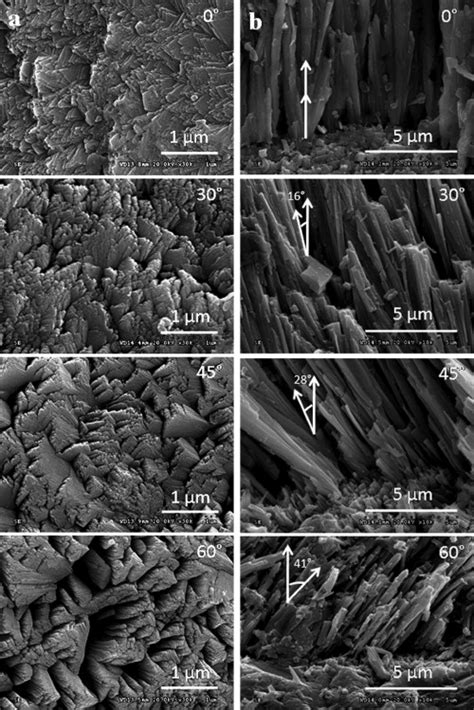 A Surface And B Cross Section Morphology Of Ysz Coatings Deposited