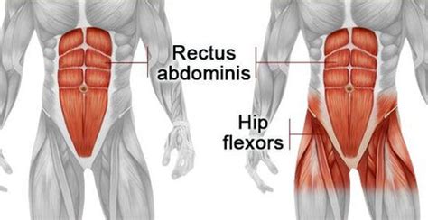 Are Sit-Ups or Crunches Better? - SET FOR SET