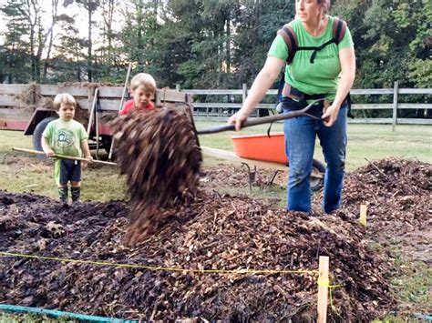 Infographic: Choosing the Best Compost Method – Gardens That Matter