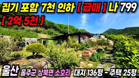 799 파격조절 7천인하 2억5천만원 ~ 대부분 집기 포함 울산전원주택 급매매 합니다~ Youtube