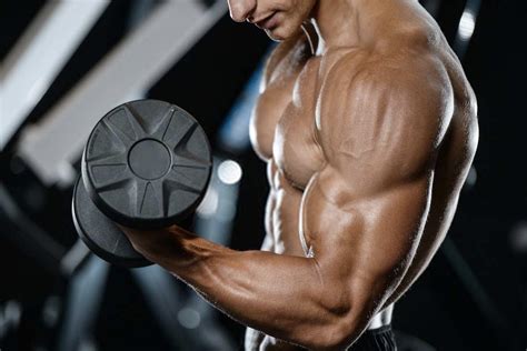 13 Best Bicep Exercises For Men Man Of Many