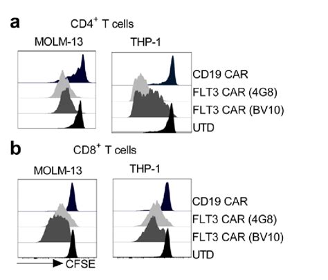 Proliferation Of Cd And Cd Flt Car T Cells Against Aml Cell