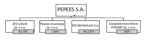 Struktura Grupy Kapita Owej Pepees