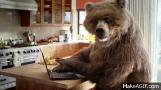 Typing Bear on Make a GIF