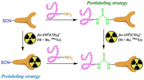 Bioconjugate Chemistry Vol 27 No 1