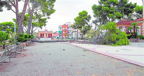 El viento arranca de cuajo un pino de 20 metros en Abarán La Verdad