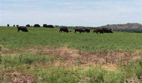 21 of the Best- Wichita Mountains Hiking Trails [Maps] - Rambling Russells