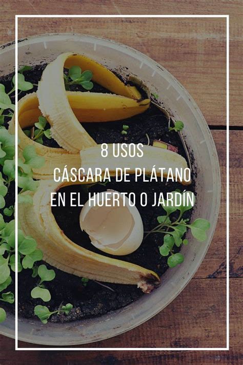 8 Usos De La Cáscara De Plátano O Banana En El Huerto O Jardín