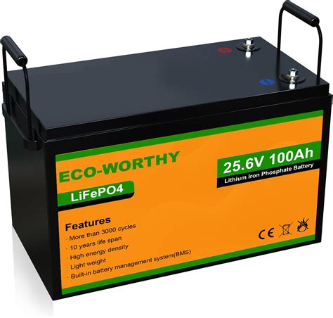 ECO WORTHY 24V 100Ah LiFePO4 Lithium Battery Built In BMS 4000