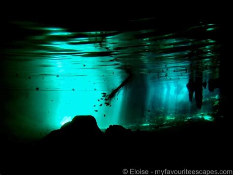 Visit Gran Cenote, Tulum - A Complete Guide [2024]