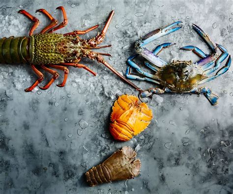 What are the different types of crustaceans? | Gourmet Traveller