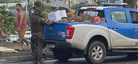 Onze pessoas são presas por comercializar aves silvestres em feira